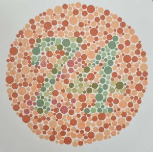 İshihara Renk Körlüğü Testi